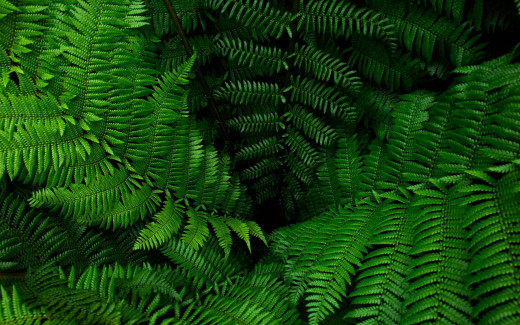1248616 (a): :1920x1200